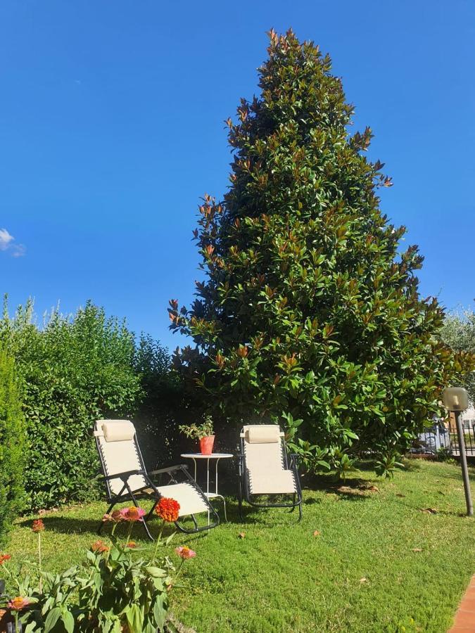 Villa Elsa, Cesena Zona Ippodromo Exterior foto